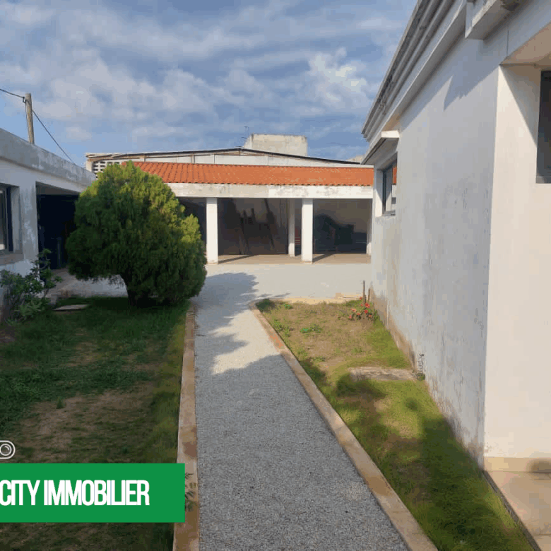 WhatsApp Image 2025-08-08 à 14.31.31_1cba8cf7 - Copie